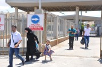 GÜMRÜK MUHAFAZA - Suriyeliler Dönüşe Geçti