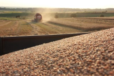 Çiftçilerin 'Buğday' Hasadı Mesaisi Sürüyor