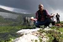 İHSAN YIĞIT - Erzurum'da Dolu Seraları Vurdu