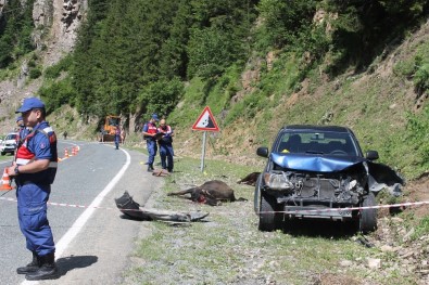 Rize'de Kamyonet Yol Kenarında Hayvan Otlatan Anne İle Kızına Çarptı Açıklaması 1 Ölü, 1 Yaralı