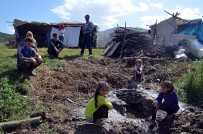 ŞENYAYLA - Terörden arındırılan yaylalarda halaylı günler