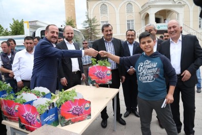 Başkan Duruay, Hacıhasan'da Organik Fide Dağıttı