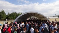 Bayram İçin Suriye'ye Gidenlerin Sayısı 25 Bine Yaklaştı