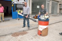 FINDIK TOPLAMA - Bu Da 'Amele Kovar'