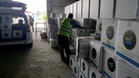 İpekyolu Belediyesinden 2 Bin 500 Dar Gelirli Ailelere Gıda Yardımı