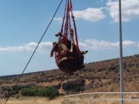 İzmir'de Baraja Düşen Dana Kurtarıldı