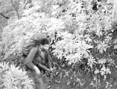 Teröristin elindeki sarı eldivenin sırrı çözüldü