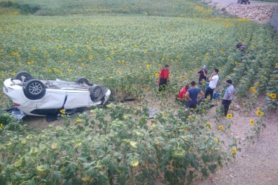Adana'da Feci Kaza Açıklaması 3'Ü Ağır 7 Yaralı