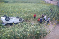 Adana'da Feci Kaza Açıklaması 3'Ü Ağır 7 Yaralı Haberi