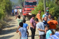TEKELI - Bozyazı'da Orman Yangını Büyümeden Söndürüldü