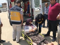 YAŞLI KADIN - İznik'teki Baltalı Saldırgan Yakalandı