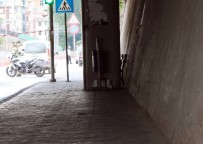 FÜNYE - Otobüs Durağında Şüpheli Paket Paniği