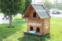 KERVANSARAY - Pamukkale Belediyesi'nden Kedi Evi Projesi