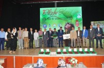 TÜRK PATENT ENSTİTÜSÜ - 7. Akşehir Kirazı Kültür Ve Sanat Festivali Yapıldı