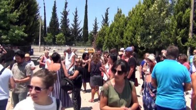 Bodrum Ve Fethiye'de, Patileri Kesilen Yavru Köpeğin Ölümüne Tepki