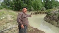 Bolu'da, Şiddetli Yağmur Ve Dolu Tarladaki Ürünlere Zarar Verdi Haberi
