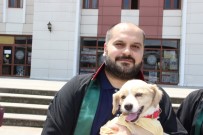 YASA TASARISI - Düzce Barosundan Hayvan Hakları İhlaline Tepki