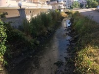 ALTıNKUM - Edremit'te Dereler Temizleniyor