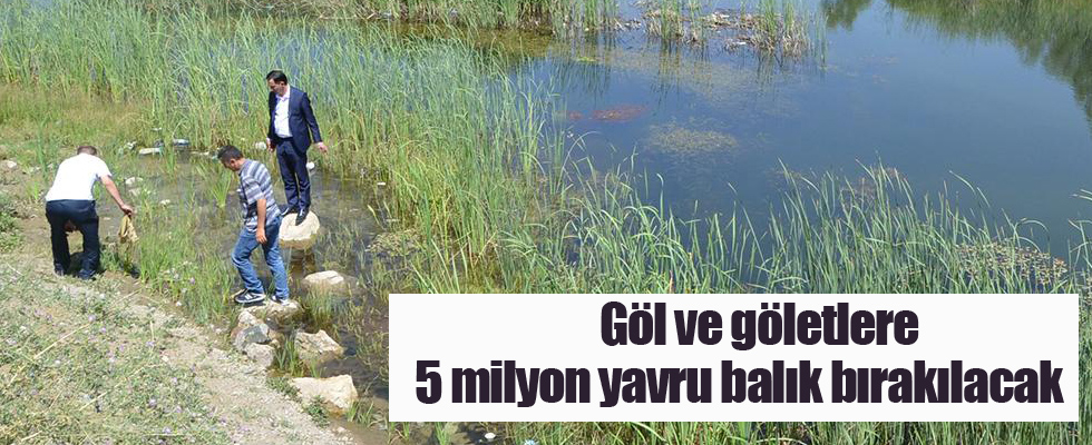 Göl ve göletlere 5 milyon yavru balık bırakılacak