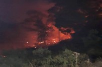 Güney Kıbrıs'ta Çıkan Yangın KKTC'yi Alarma Geçirdi