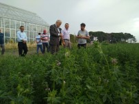 MUSTAFA HAKAN GÜVENÇER - Vali Güvençer'den Beydere'de İnceleme