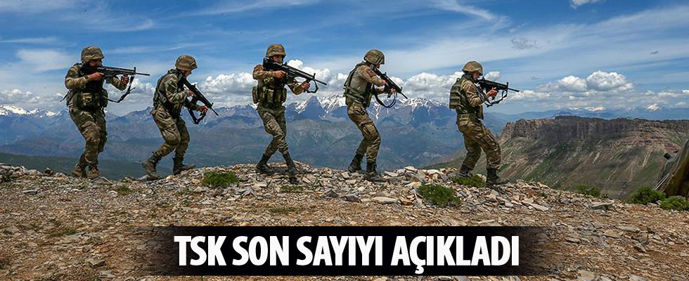 Şırnak ile Irak’ın kuzeyinde 87 terörist etkisiz hale getirildi