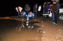 AYNALı SAZAN - Gümüşhane'de Göletlere 50 Bin Sazan Yavrusu Bırakıldı