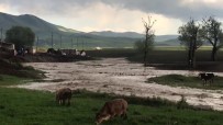 Köy İçerisinden Geçen Dere Taştı Ekili Araziler Su Altında Kaldı