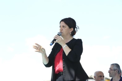 Şemdinli Ve Yüksekova'da HDP Mitingi