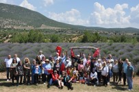 Türk Telekom Emeklileri 30 Yıl Sonra Dinar'da Buluştu