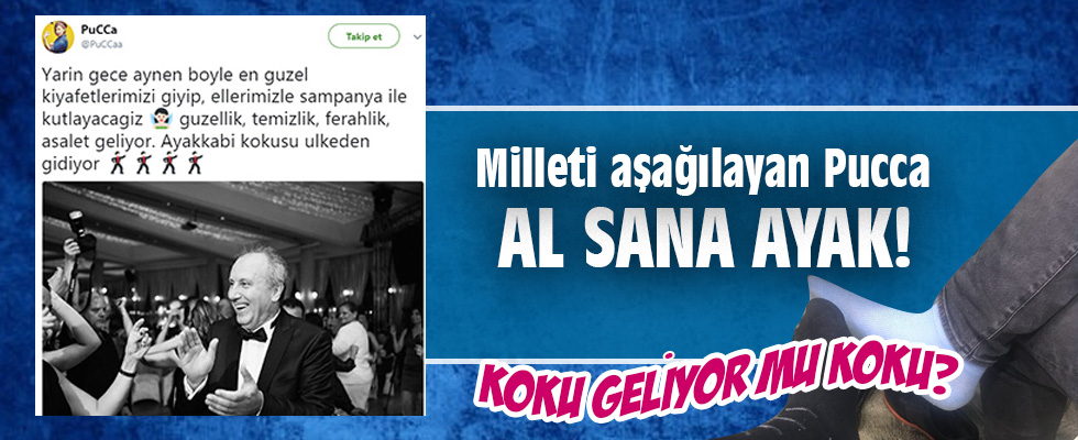 Pucca'ya kapak üstüne kapak