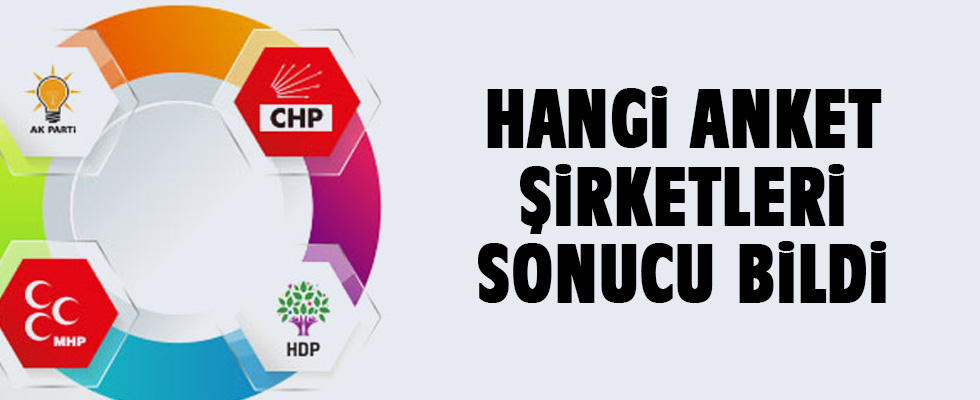 Seçim sonuçlarını hangi anket şirketi bildi?