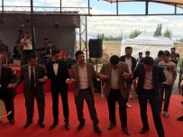 ABDULSELAM ÖZTÜRK - Kaymakam Öztürk, Genç Çiftin Düğününe Katılarak Halay Çekti