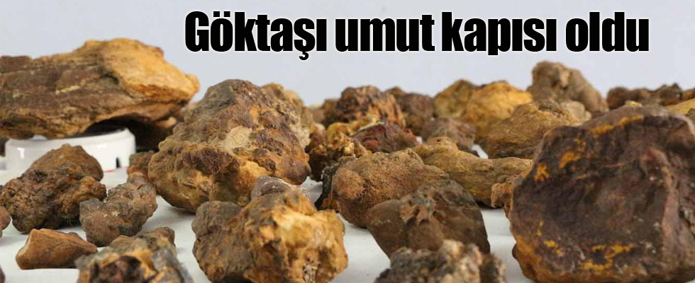 Siyasette ikinci Ağar dönemi