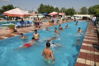 CANKURTARAN - Bismil Belediyesinden Yetişkinlere Ücretsiz Havuz