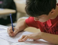 ÖZEL OKULLAR - LGS sonuçları açıklandı (26 Haziran 2018)