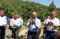 AYDıN ERDOĞAN - Seydişehir'de Doğaya Keklik Salındı