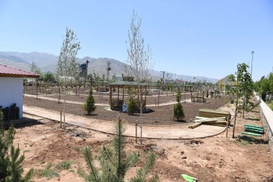 Ahmed-İ Hani Parkının 2. Etabı Gün Yüzüne Çıktı