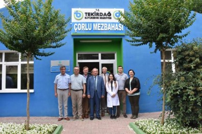 Başkan Albayrak Çorlu'da Büyükşehir Belediyesi Şube Müdürlüklerini Ziyaret Etti