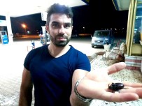 KIMYA - Benzin İstasyonunda Gergedan Böceği Buldu