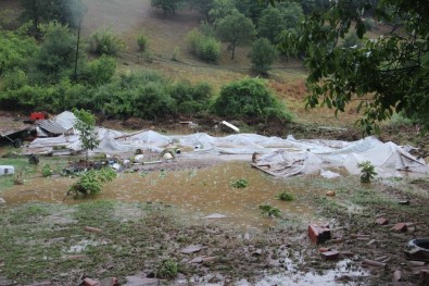 Çan'da Mahsulleri Zarar Gören Çiftçilere Müjdeli Haber