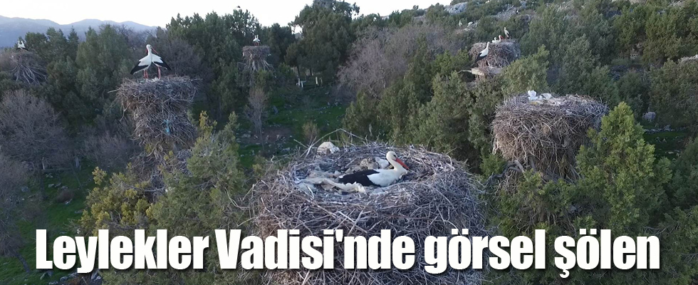 Leylekler Vadisi'nde görsel şölen