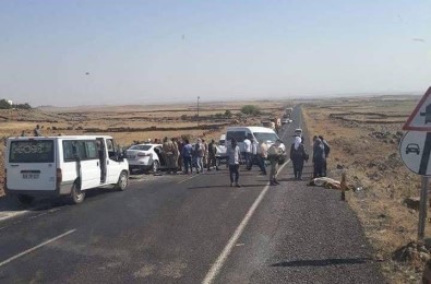 Şanlıurfa'da Otomobiller Çarpıştı Açıklaması 3 Ölü, 2 Yaralı