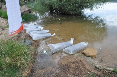 Uşak'ta Göletlere 100 Bin Yavru Balık Bırakıldı