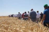 FATIH ÖZDEMIR - Konya'da Tarla Günü Etkinliği