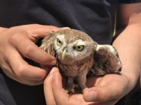 YÜZÜNCÜ YıL ÜNIVERSITESI - Polis Memurundan Örnek Davranış