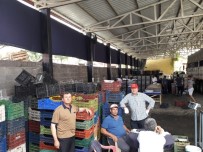 Şaphane'de Hedef 15 Bin Ton Vişne