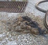 BOZÜYÜK BELEDİYESİ - Tıkanan Kanalizasyon Hatlarından Çıkanlar Şaşırttı