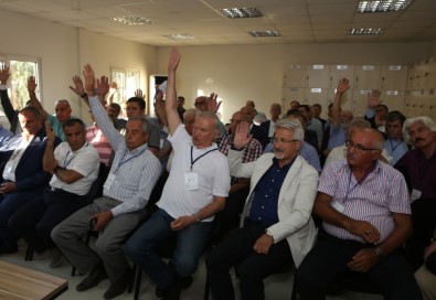 Anadolu Arastası'nda Sona Doğru