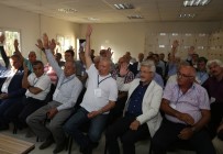 RECEP YıLDıRıM - Anadolu Arastası'nda Sona Doğru